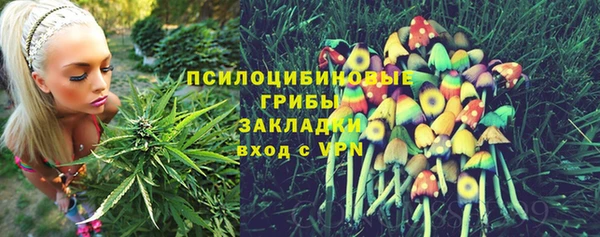 спайс Алексин