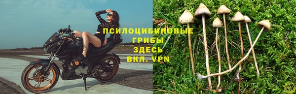 кокс Алзамай