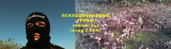 спайс Алексин