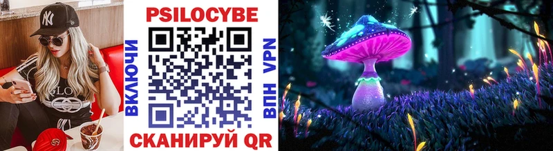 Псилоцибиновые грибы Psilocybe  купить   Новая Ляля 